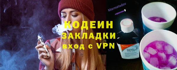 индика Рославль