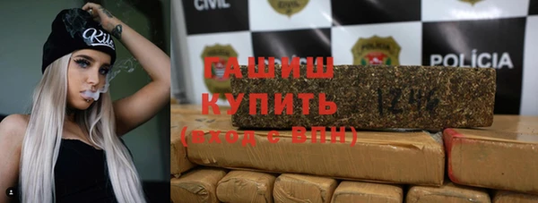 индика Рославль