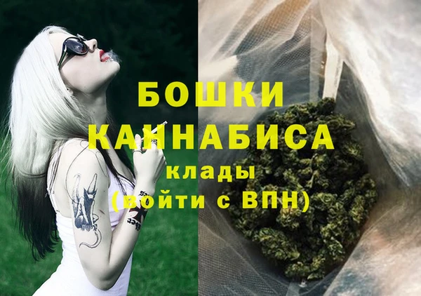 индика Рославль