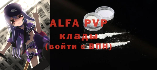индика Рославль