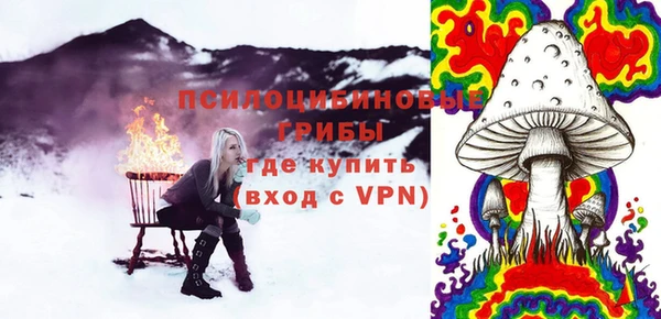 индика Рославль